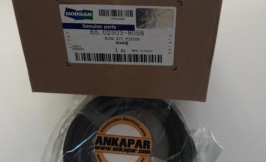 Doosan Motor Piston Sekmanı