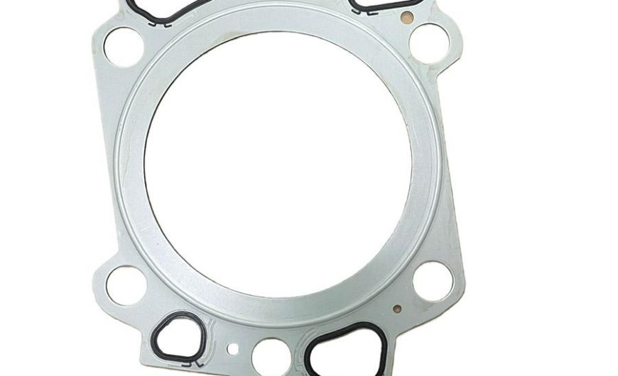 10118055 Cylinder Head Gasket-Liebherr